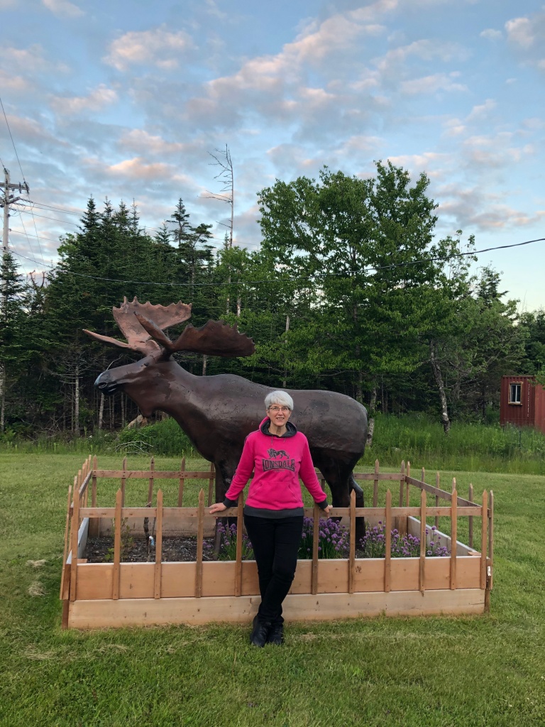 Post author wearing pink hoodie and black jeans, standing in front of life-sized moose statue, surrounded by a picket fence